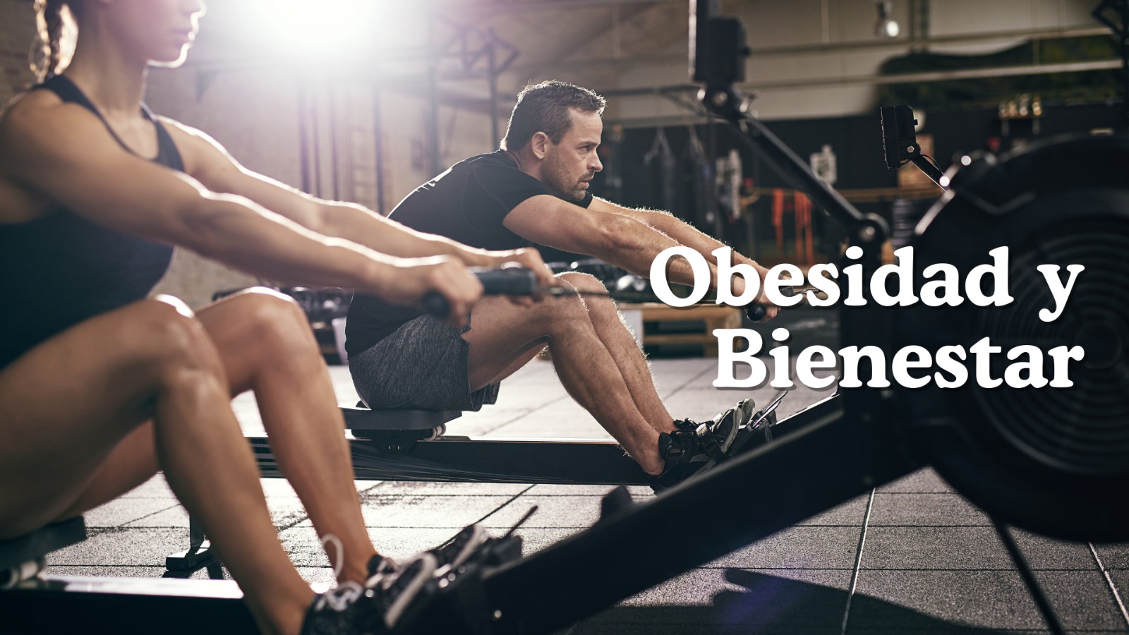 BioShape 360